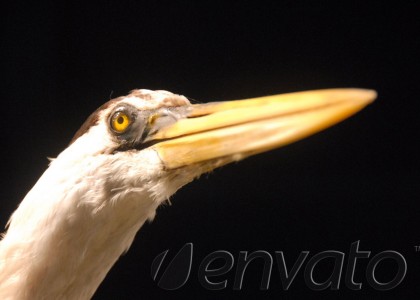 Iron Man Movie Review