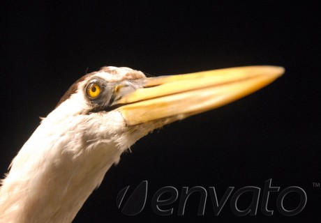 Iron Man Movie Review