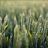 22 Fantastic Nature Photography