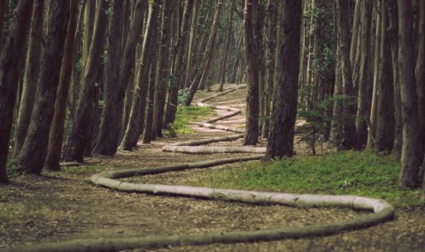 A Passage Through The Mountain