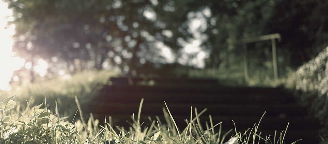 The Basics of sport That You Can Benefit From Starting Today