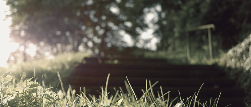 The Basics of sport That You Can Benefit From Starting Today