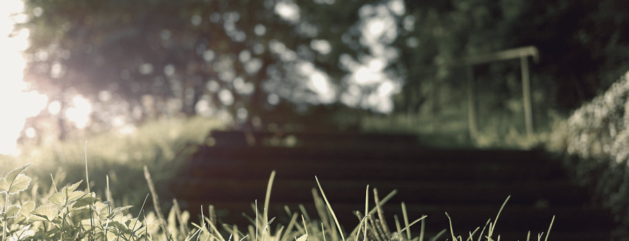 The Basics of sport That You Can Benefit From Starting Today