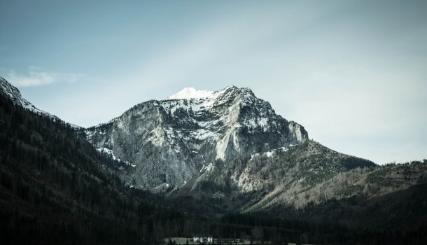 14 Great Humors About Nature
