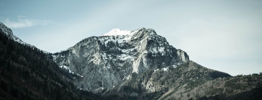 14 Great Humors About Nature